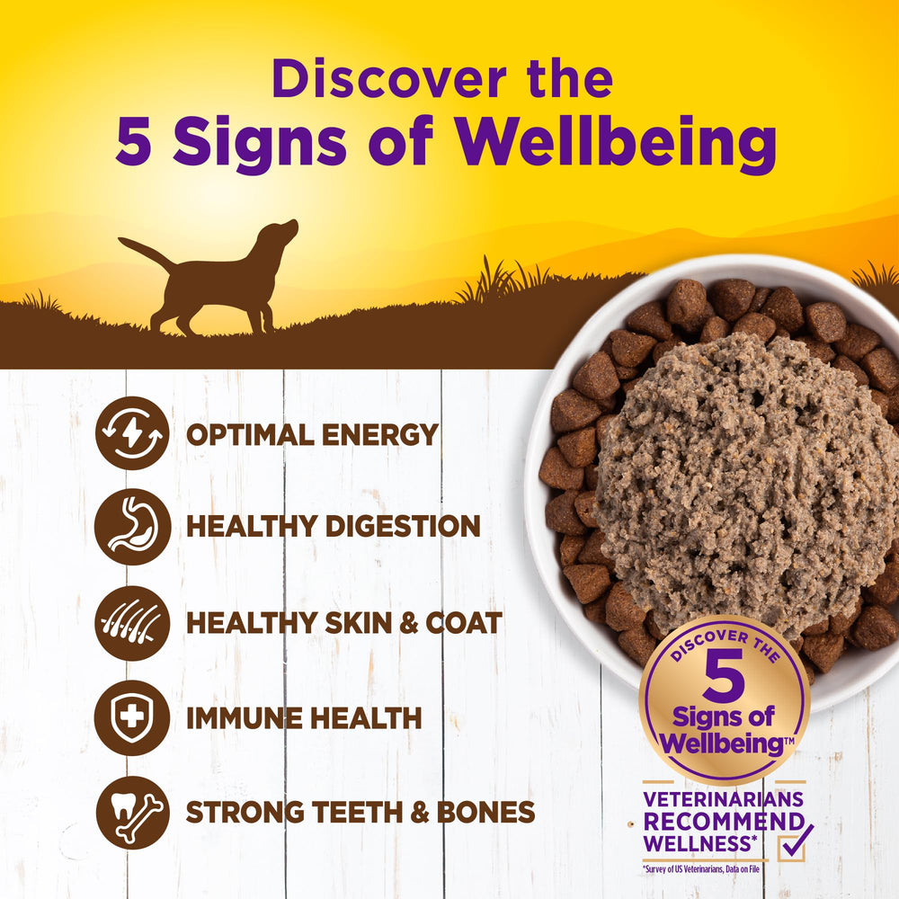 Proteína real y vegetales en Wellness para perros adultos.