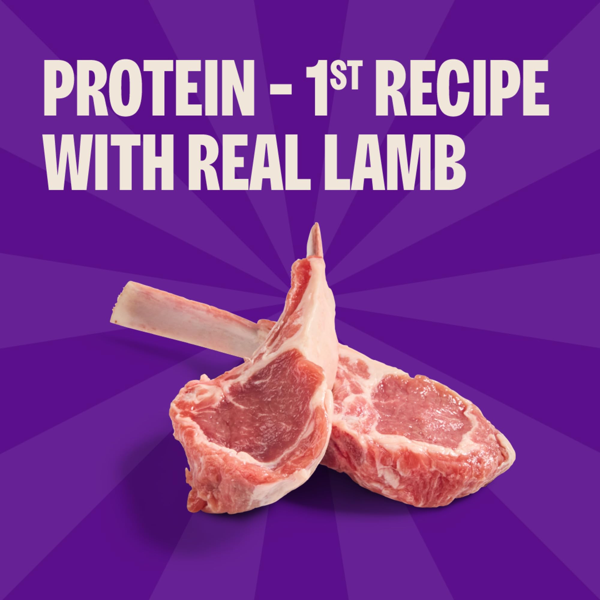 DHA y Omega-3 de salmón y linaza para pelaje saludable con Wellness Rewarding Life.