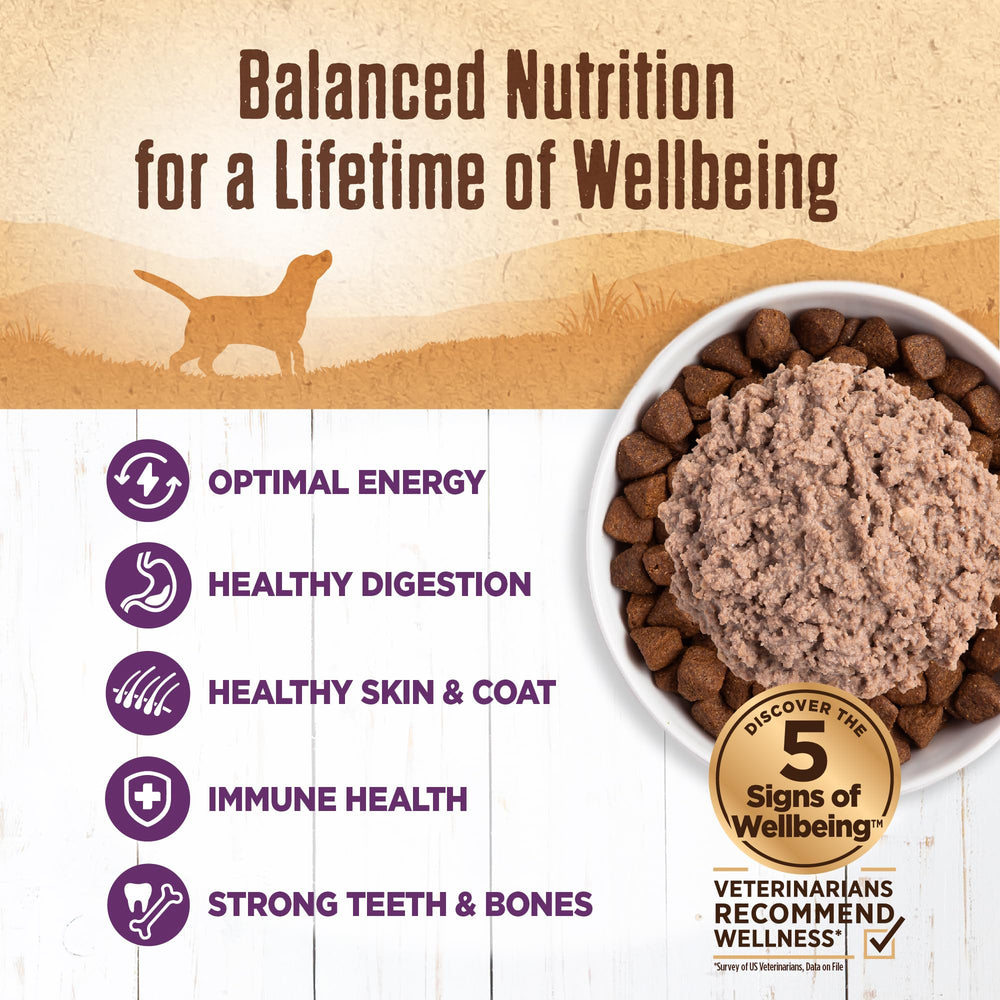 Wellness Paté de Pollo en lata sin granos para dietas naturales.