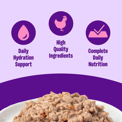 Wellness pate gato textura cremosa ofrece una experiencia suave para la ingesta diaria.