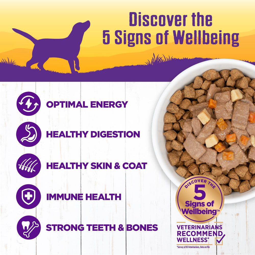 Wellness textura guiso grueso para perro, ideal como comida principal.