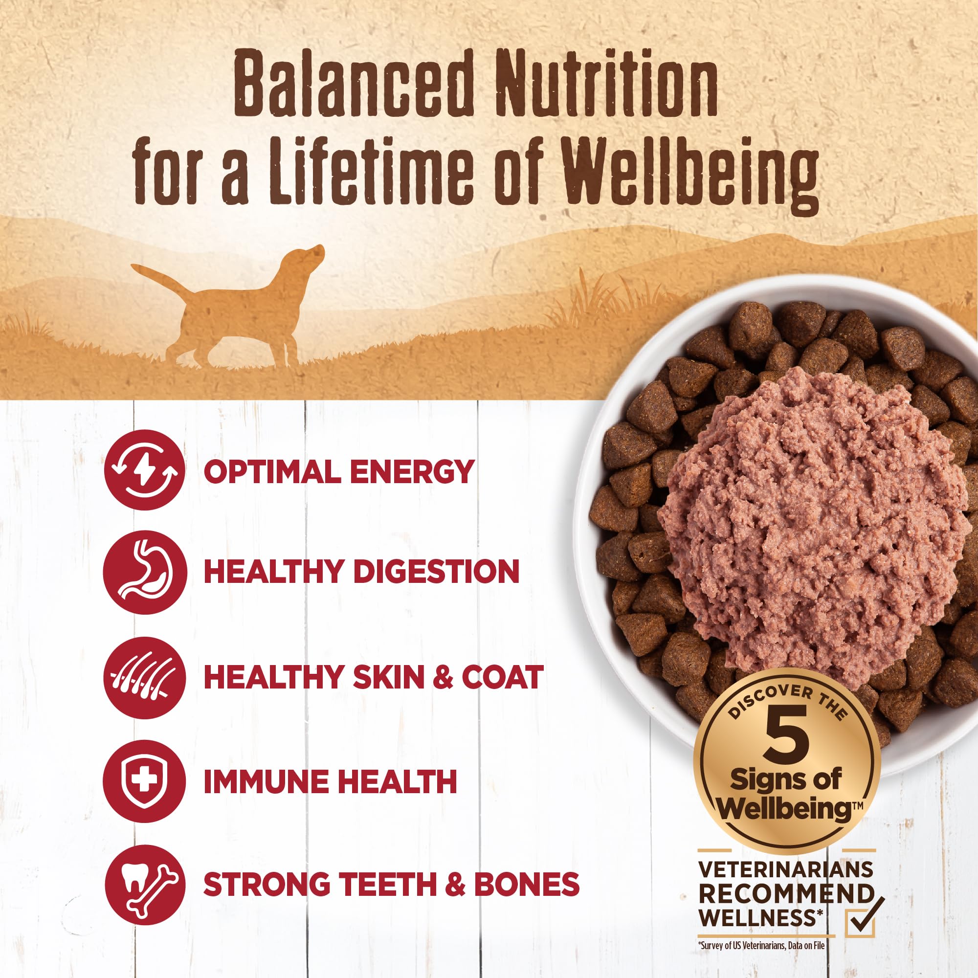Wellness textura pate suave: textura suave que agrada al paladar canino.