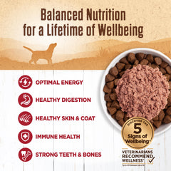 Wellness textura pate suave: textura suave que agrada al paladar canino.