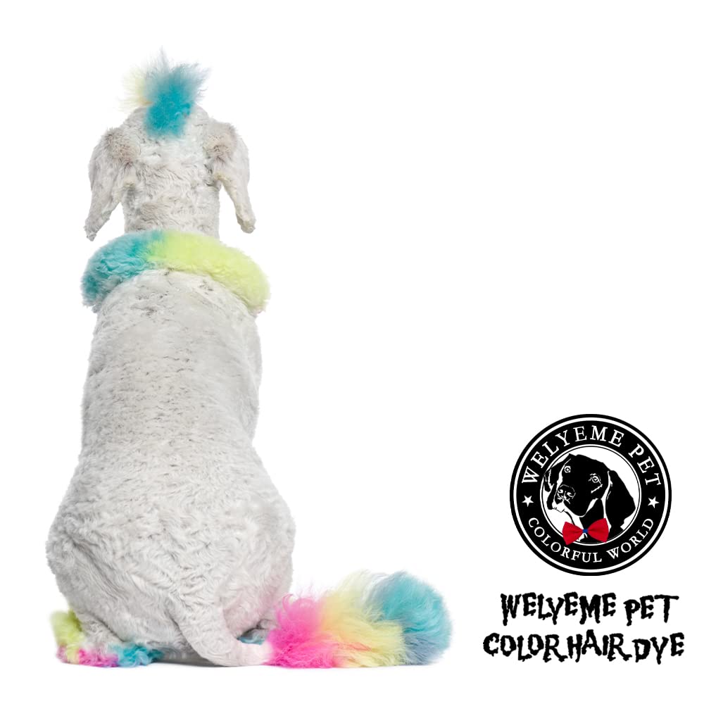 pelage du chien après coloration rose vif