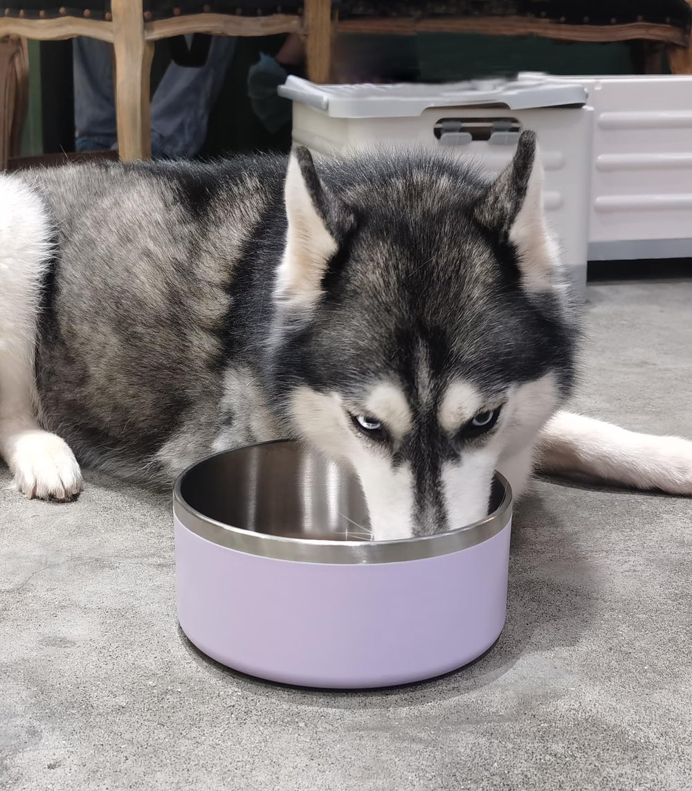 Diseño antivuelco Wenbokmin para mantener estable la comida y el agua.