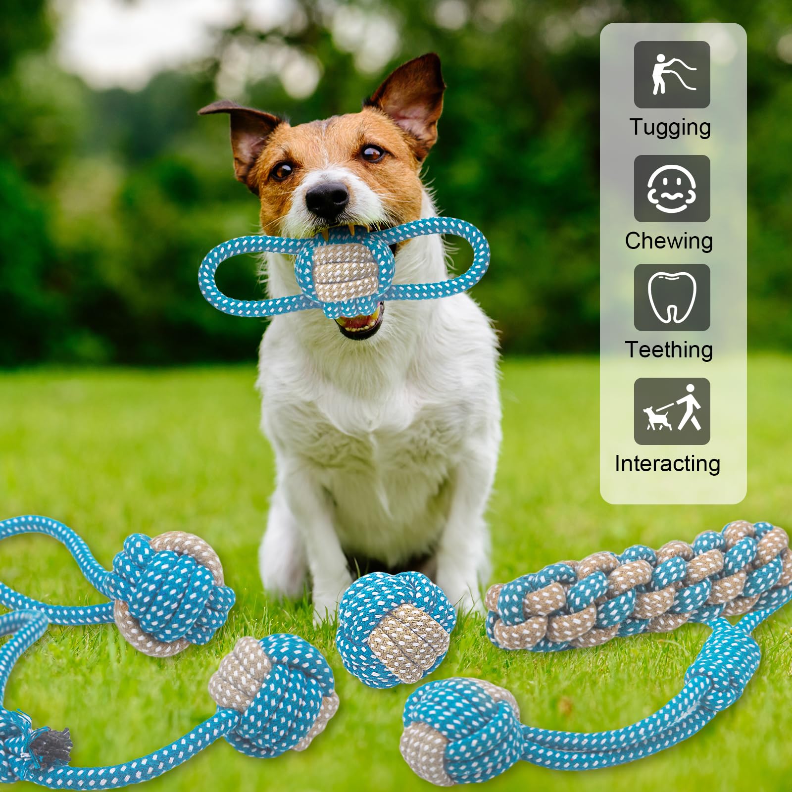 weocar cuerda para limpieza dental de cachorros, ayuda a la higiene bucal durante el juego.