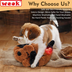 WEOK-reconfort-nuevo-hogar-peluche facilita la adaptación al hogar.