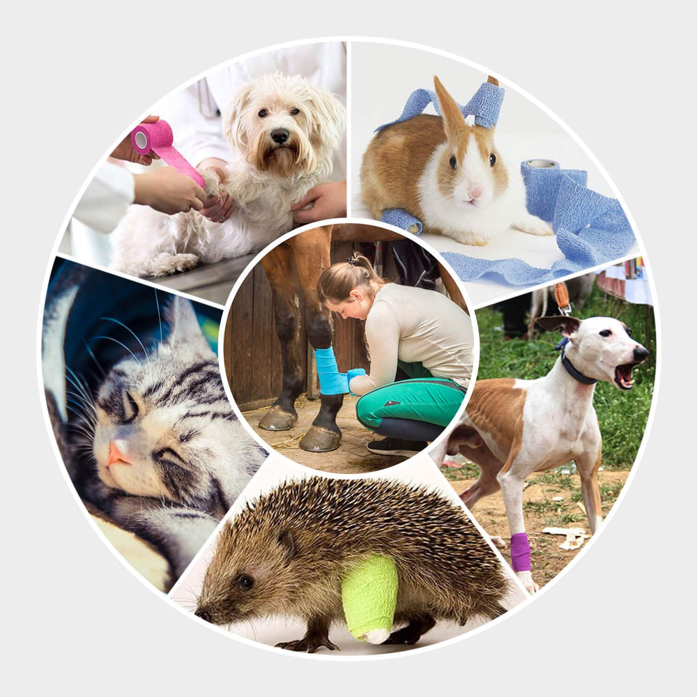 WePet Pet Wrap envuelve zonas difíciles con comodidad durante el uso
