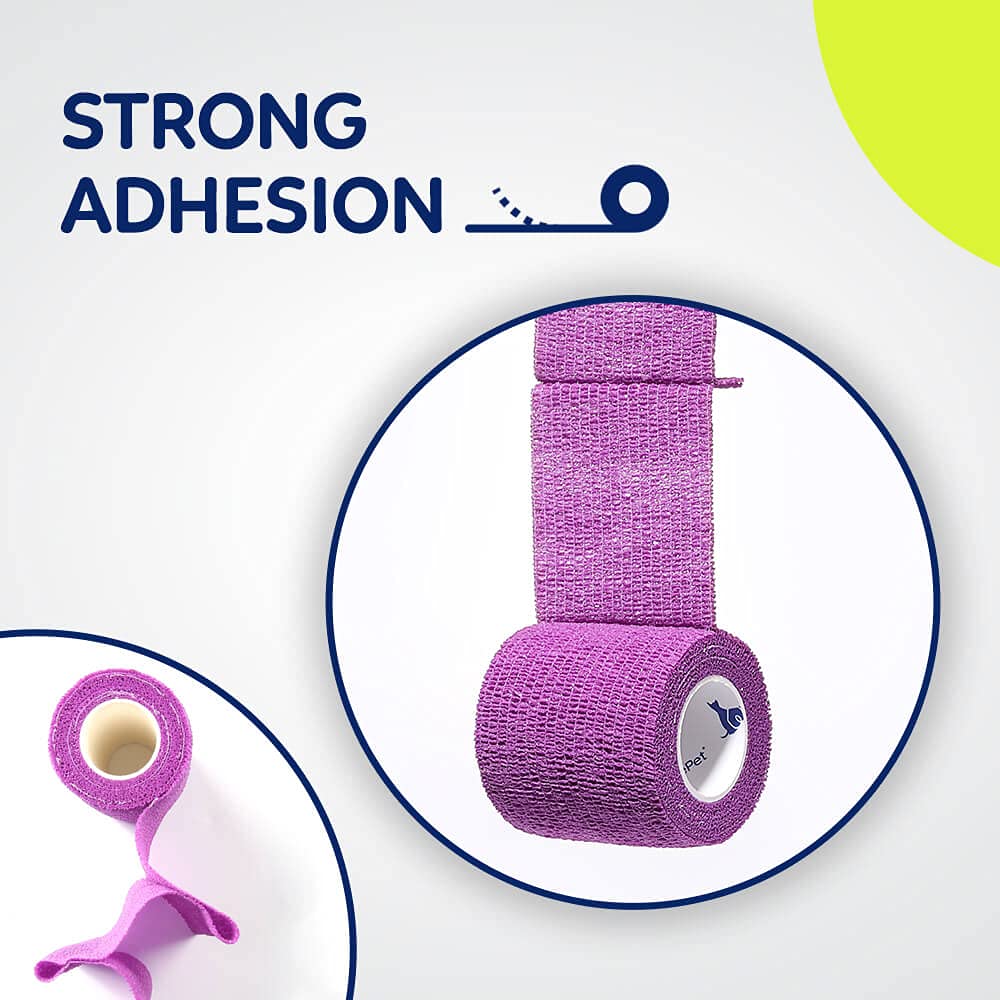 WePet Wrap envuelto individualmente en celofán para higiene.