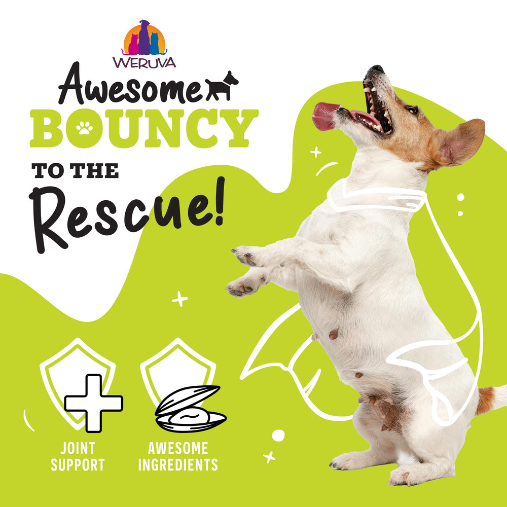 Weruva Awesome Bouncy, empresa familiar y dedicada a mascotas