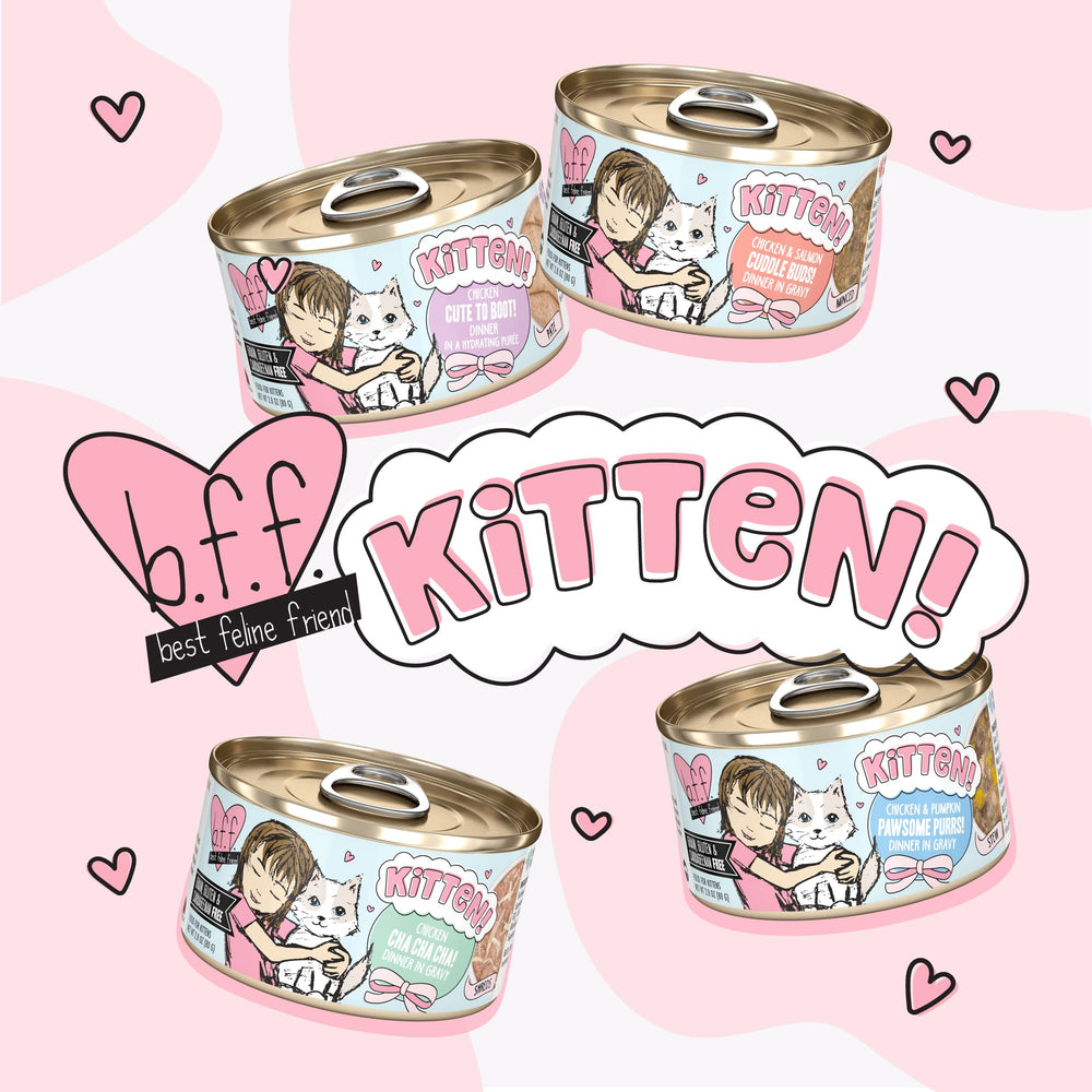 Weruva B.F.F. Kitten Cuddle Buds, empresa familiar dedicada a mascotas.