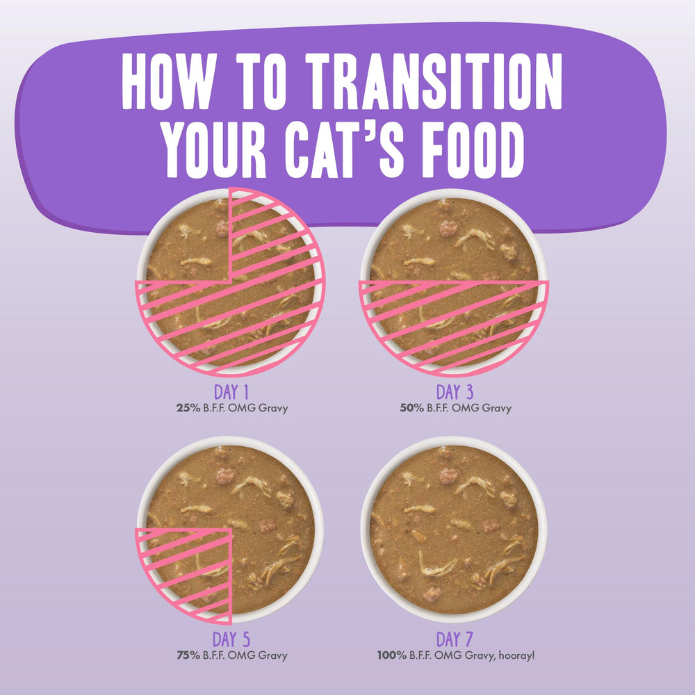 Presentación práctica de Weruva BFF OMG para días ocupados