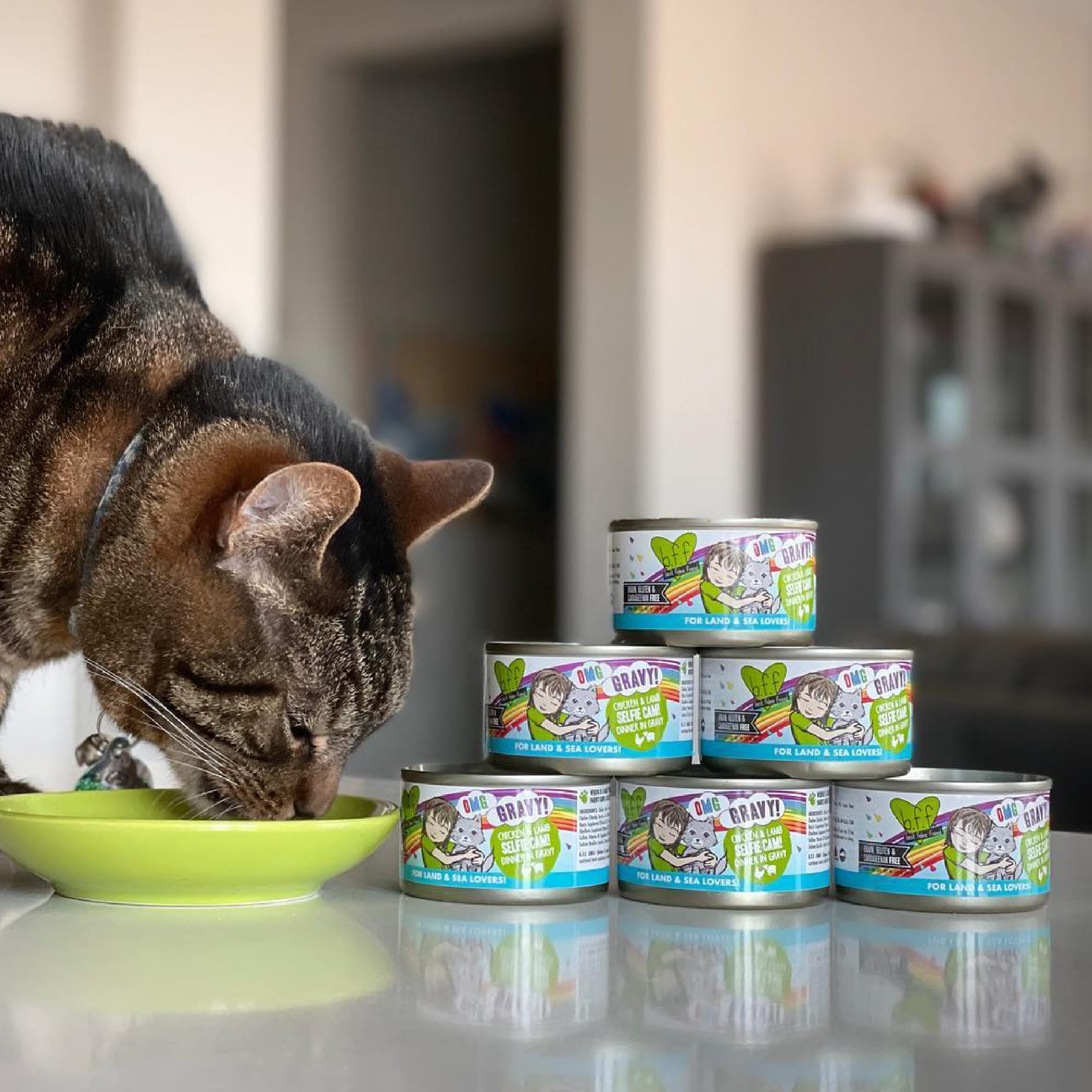 Weruva BFF OMG sabroso y nutritivo, experiencia de sabor para gatos curiosos.