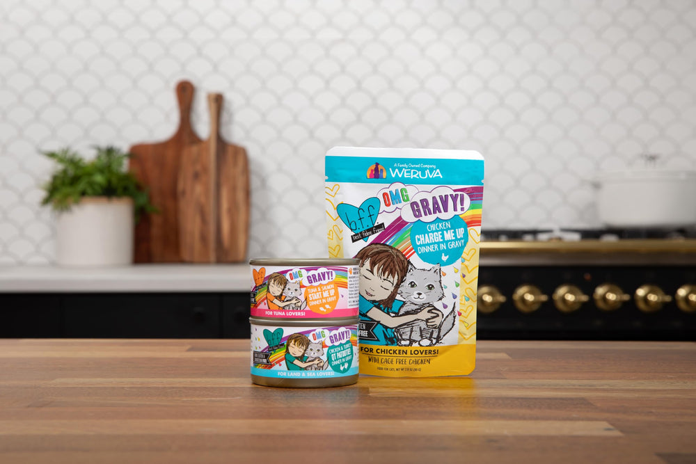 Receta equilibrada: vitaminas y minerales para el bienestar diario de tu gato.
