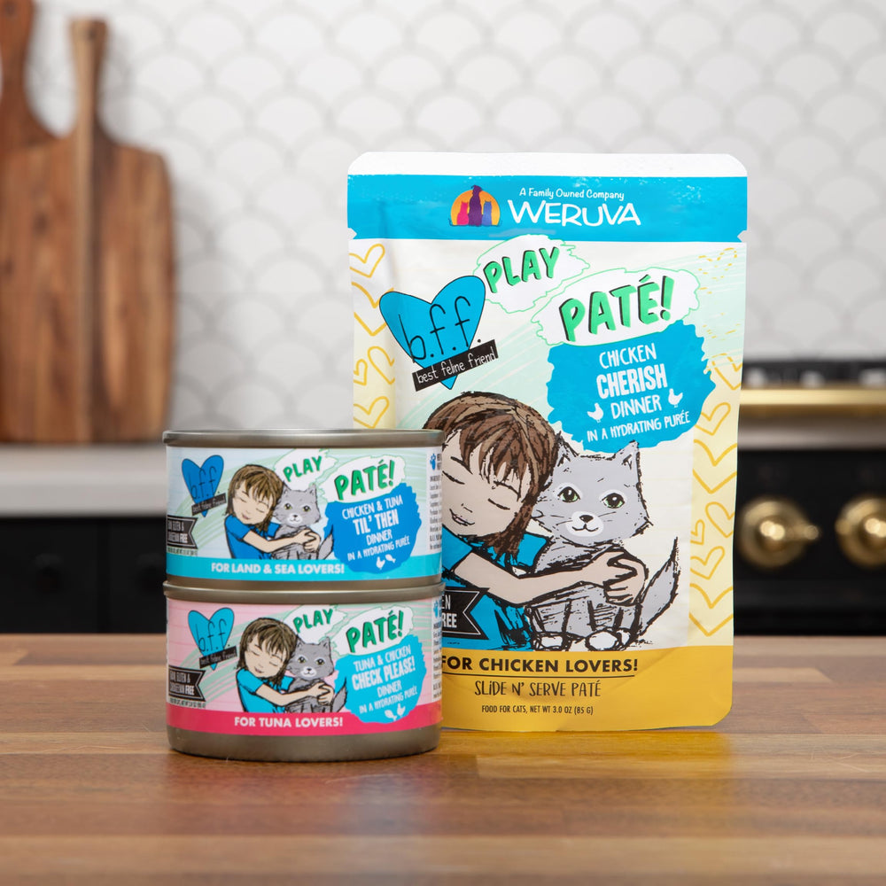 Gata disfruta paté Weruva B.F.F. Play en su plato.