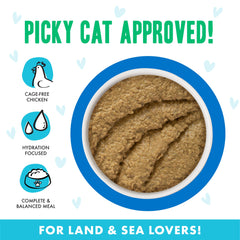 Weruva B.F.F. Play paté sin granos, ideal para gatos con preferencias suaves.