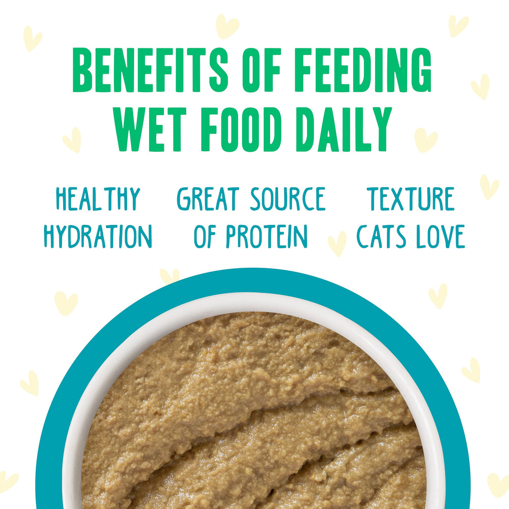 Weruva B.F.F. Play sin carragenina: calidad de ingredientes en vida felina.