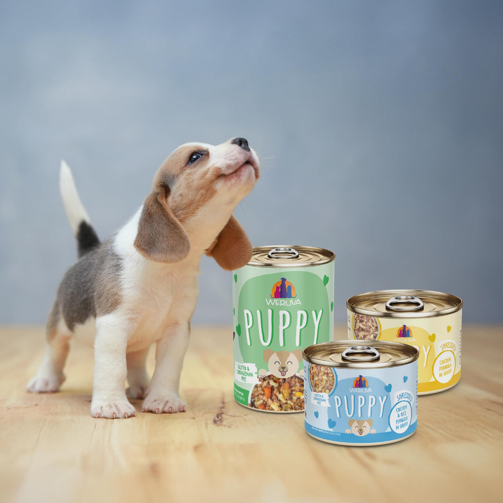 Weruva cachorro ingredientes naturales y sin gluten ni conservantes.