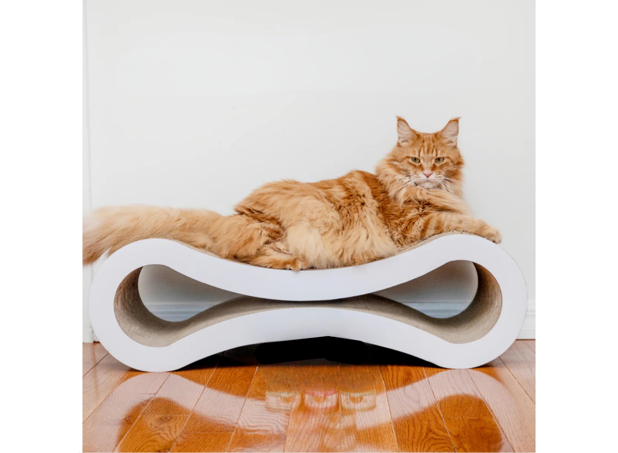 Weruva Classic Cat: paquete de 24 latas para variedad diaria.