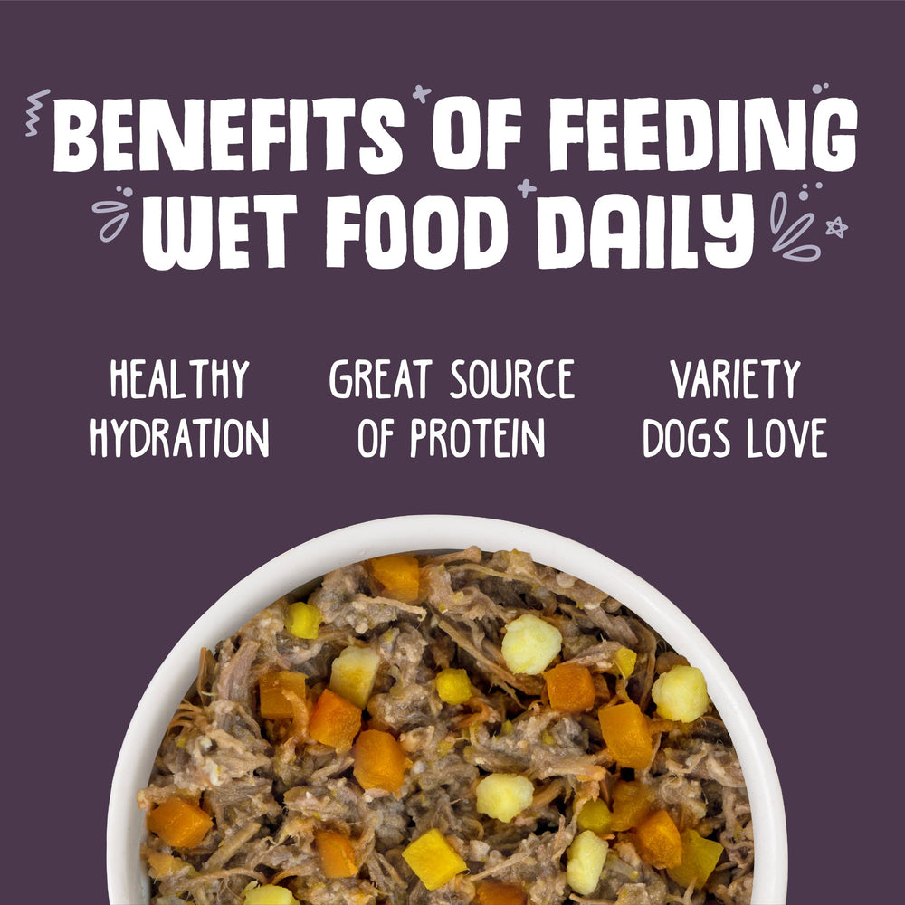 Weruva Classic Dog Food con salsa jugosa, listo para servir a tu perro.