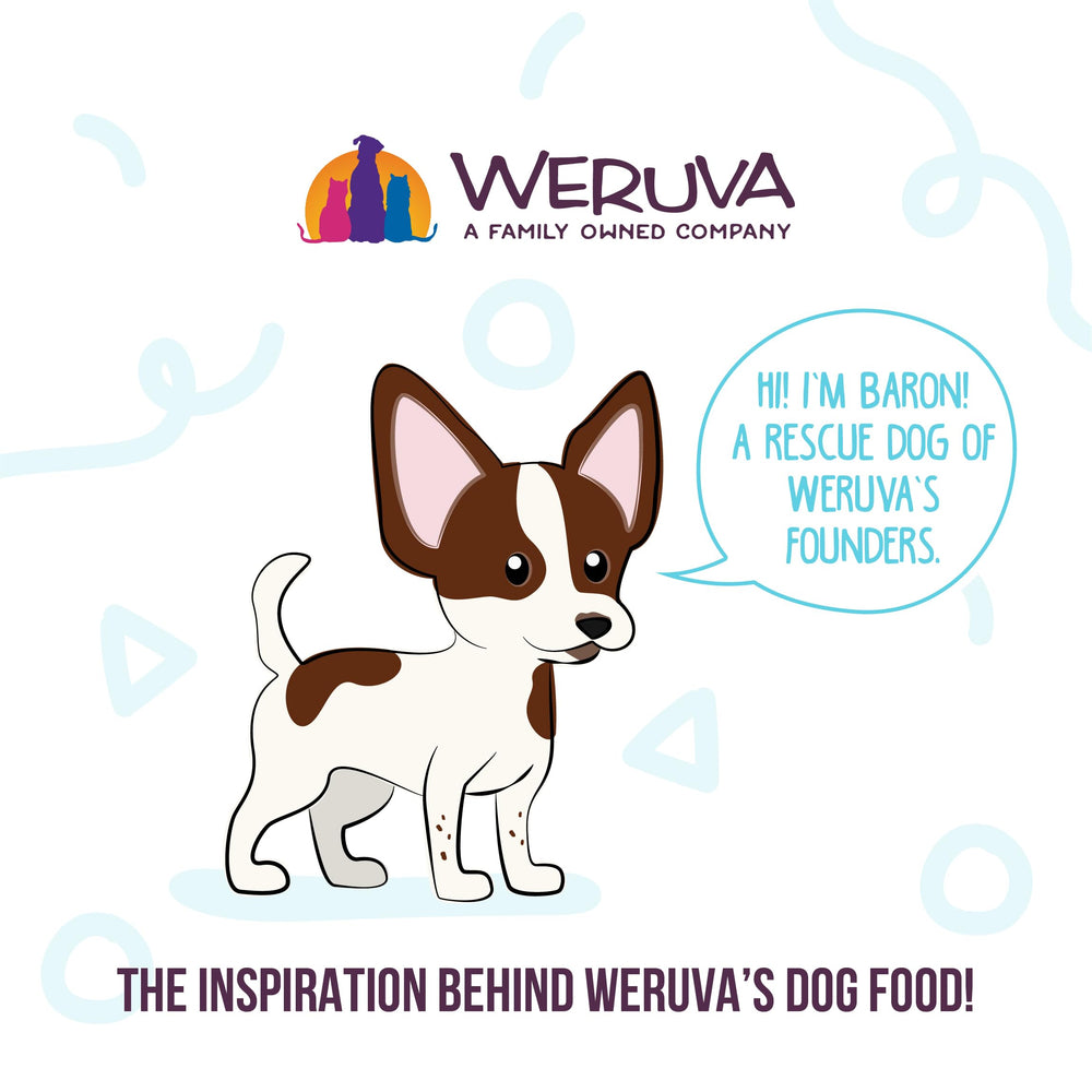 Pelaje brillante posible con la dieta Weruva Paw Lickin’ Chicken.