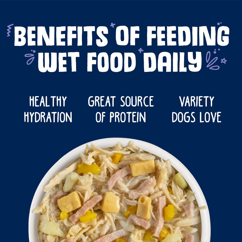 Weruva Bed & Breakfast, proteína de calidad con pollo, huevo y calabaza para perros.