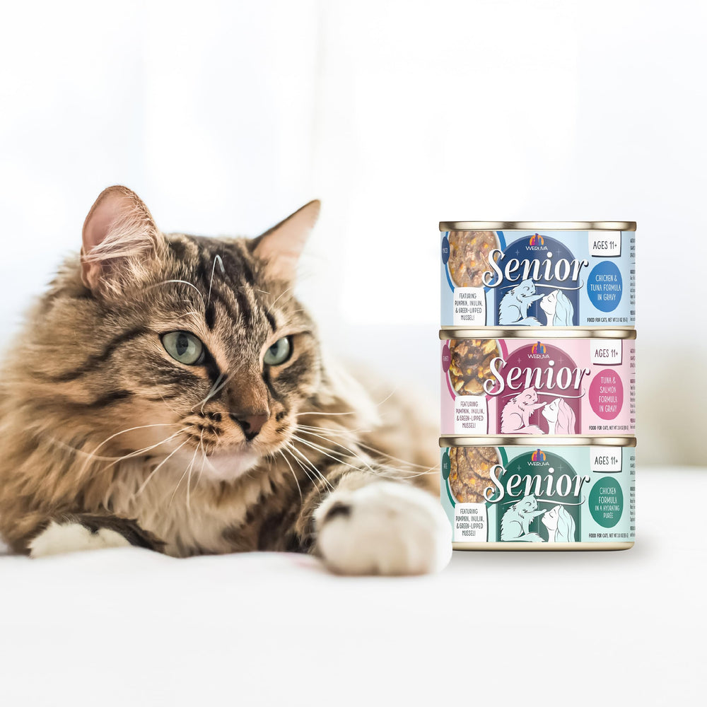 Weruva Gato Mayor: envase de 5.5 oz, práctico para tomas.