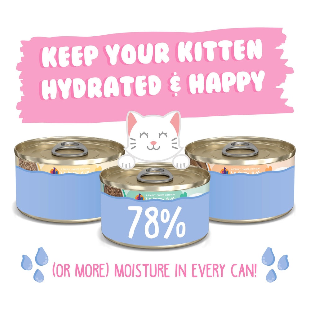 Weruva Kitten variedad latas 3 onzas, ricas en proteína real para gatitos activos.
