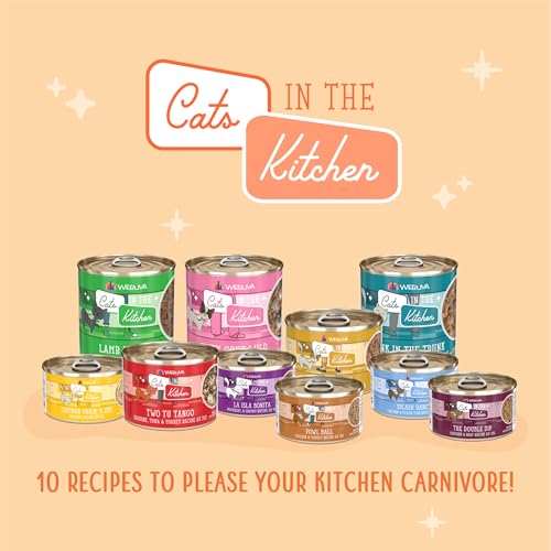 Weruva Lamb Burger-ini apto para gatos con sensibilidad digestiva leve.