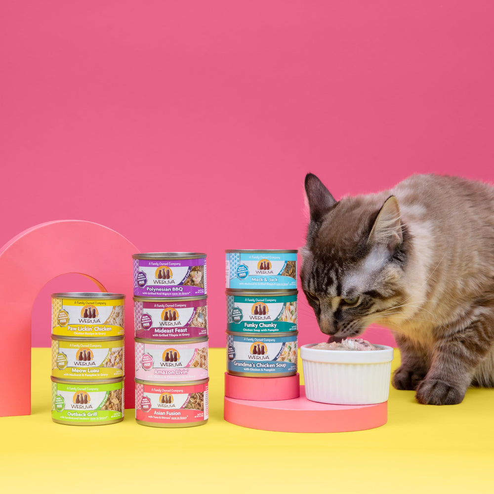 Weruva Mideast Feast tilapia en salsa, aroma apetitoso para gatos