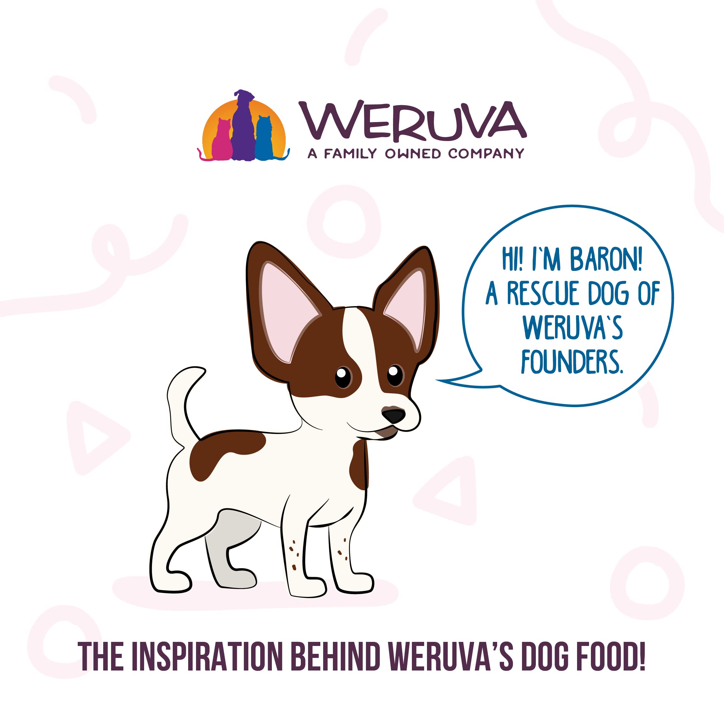 Weruva Meals 'n More, perro comiendo, demostrando la experiencia de comida diaria.
