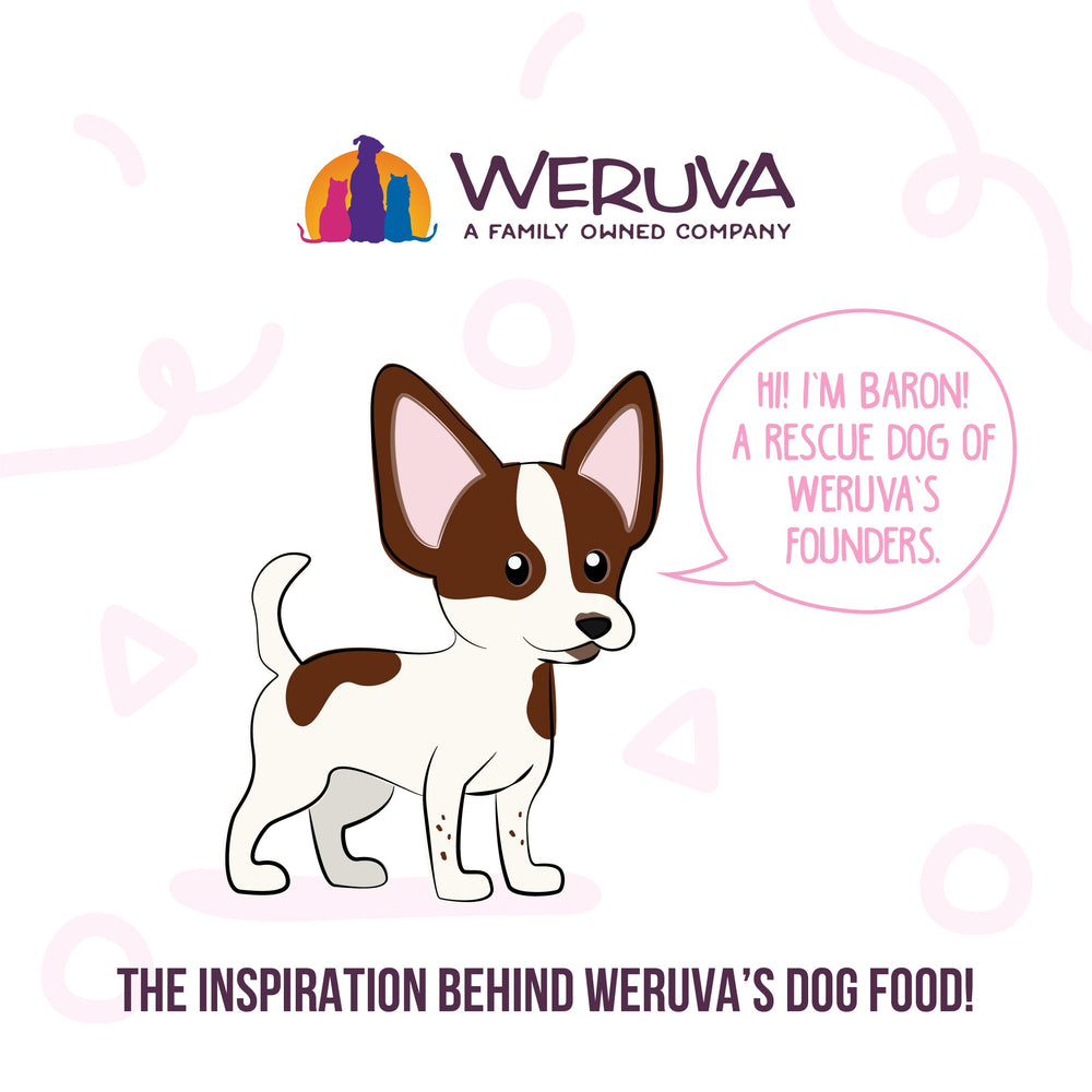 Weruva Meals n More Natural, ingredientes de alta calidad y trazabilidad.