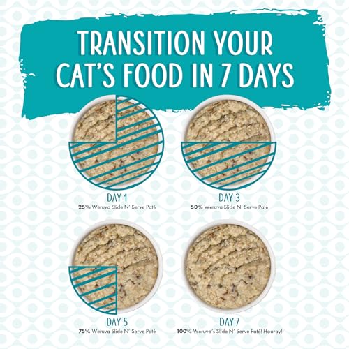 Paquete de 12 envases fáciles de servir para familias de gatos.