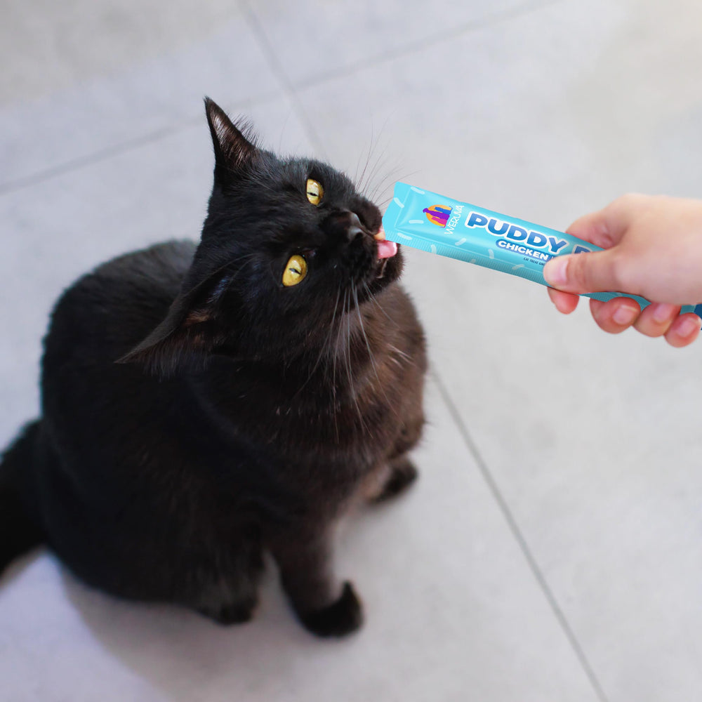 Weruva Puddy Pops como topper o premio para acompañar la comida.