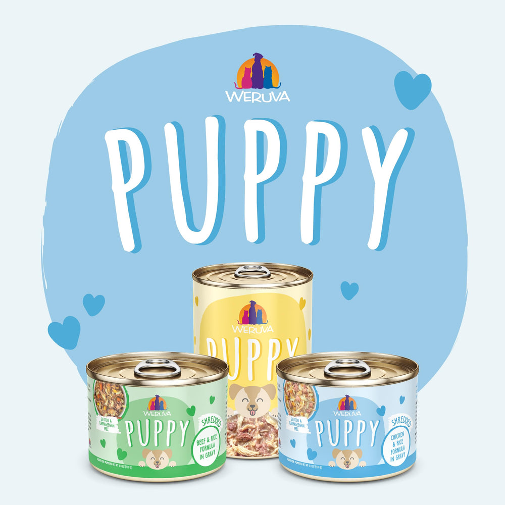 Weruva Puppy Food: empresa familiar dirigidas por los Forman