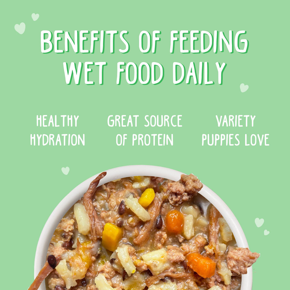 Ingredientes de calidad en Weruva Puppy para perros jóvenes