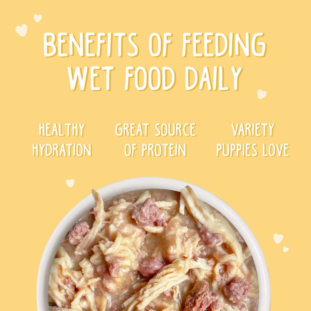 Weruva Puppy pollo en salsa, fuente de omega-3 para desarrollo cerebral y visual.