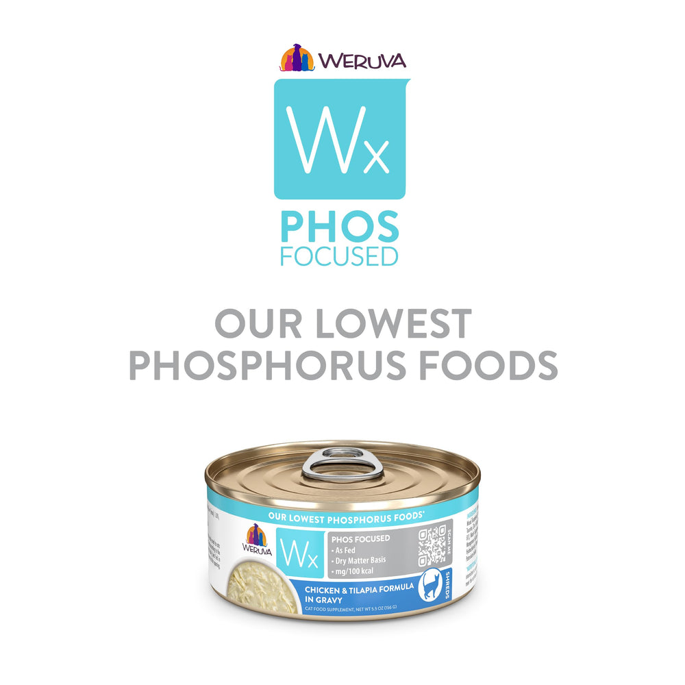 Weruva Wx Phos Focused: ingredientes naturales para gatos