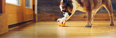 West Paw Qwizl vista lateral: agarre cómodo para perros de todos los tamaños.
