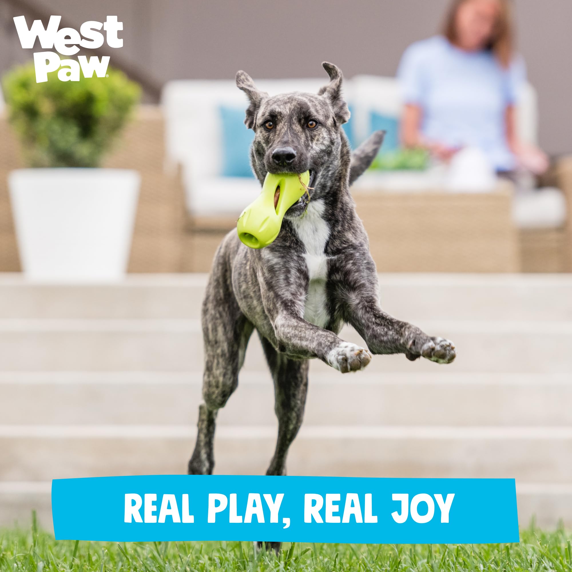 WEST PAW Qwizl, gran tamaño para perros grandes y activos.