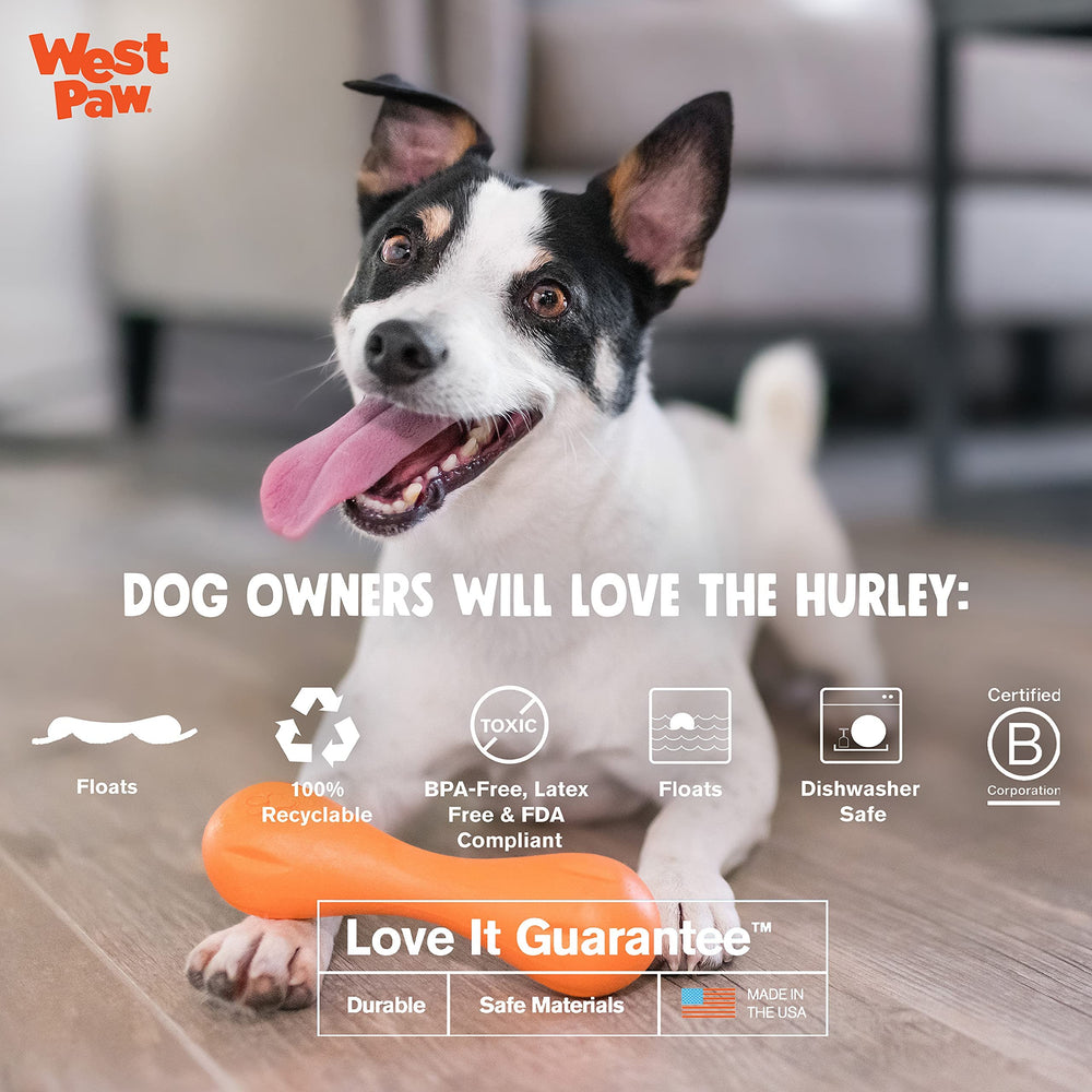 Hurley, juguete para agua, perfecto para perros que juegan en lagos o playa.