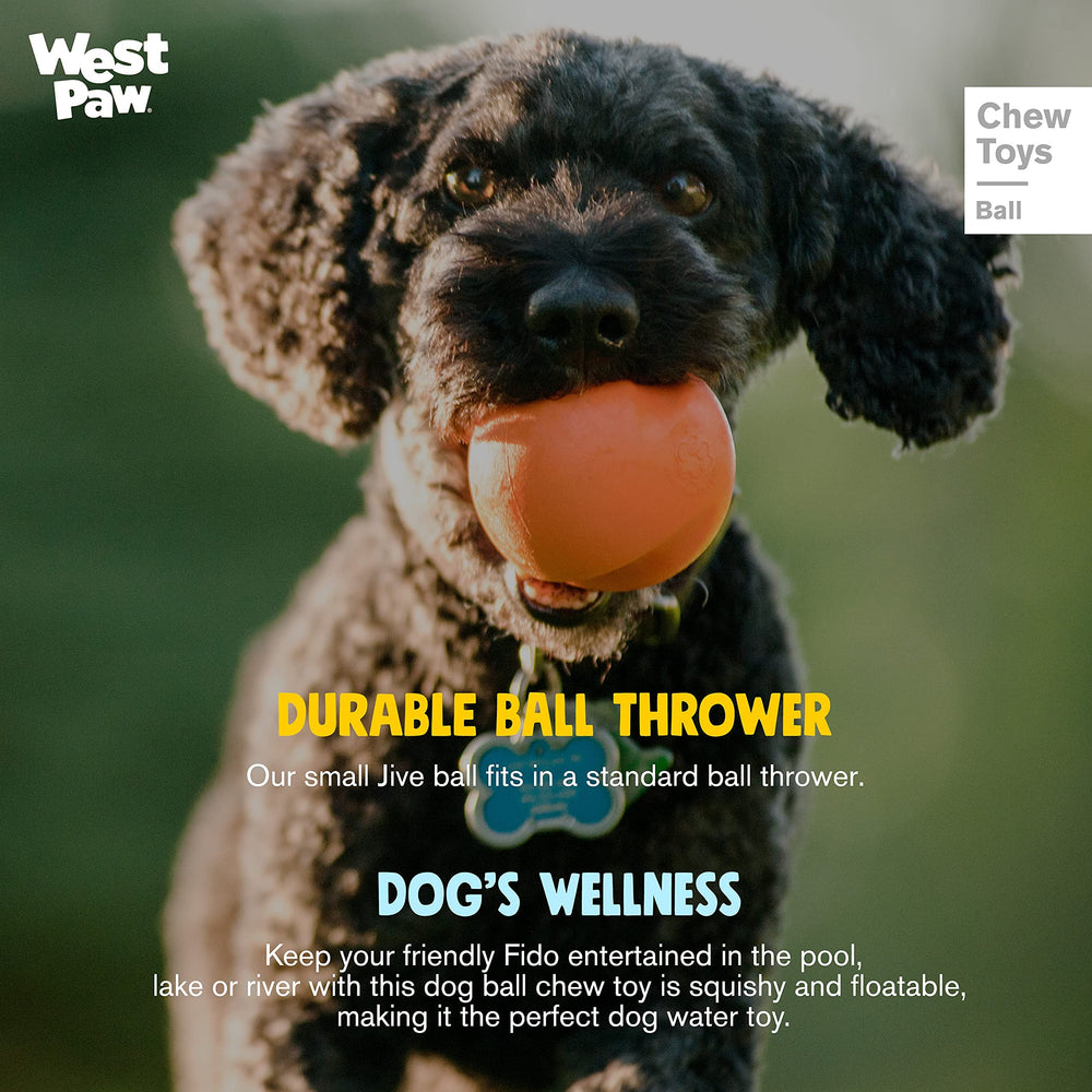 West Paw Zogoflex Jive Ball apta para lavavajillas y limpieza fácil