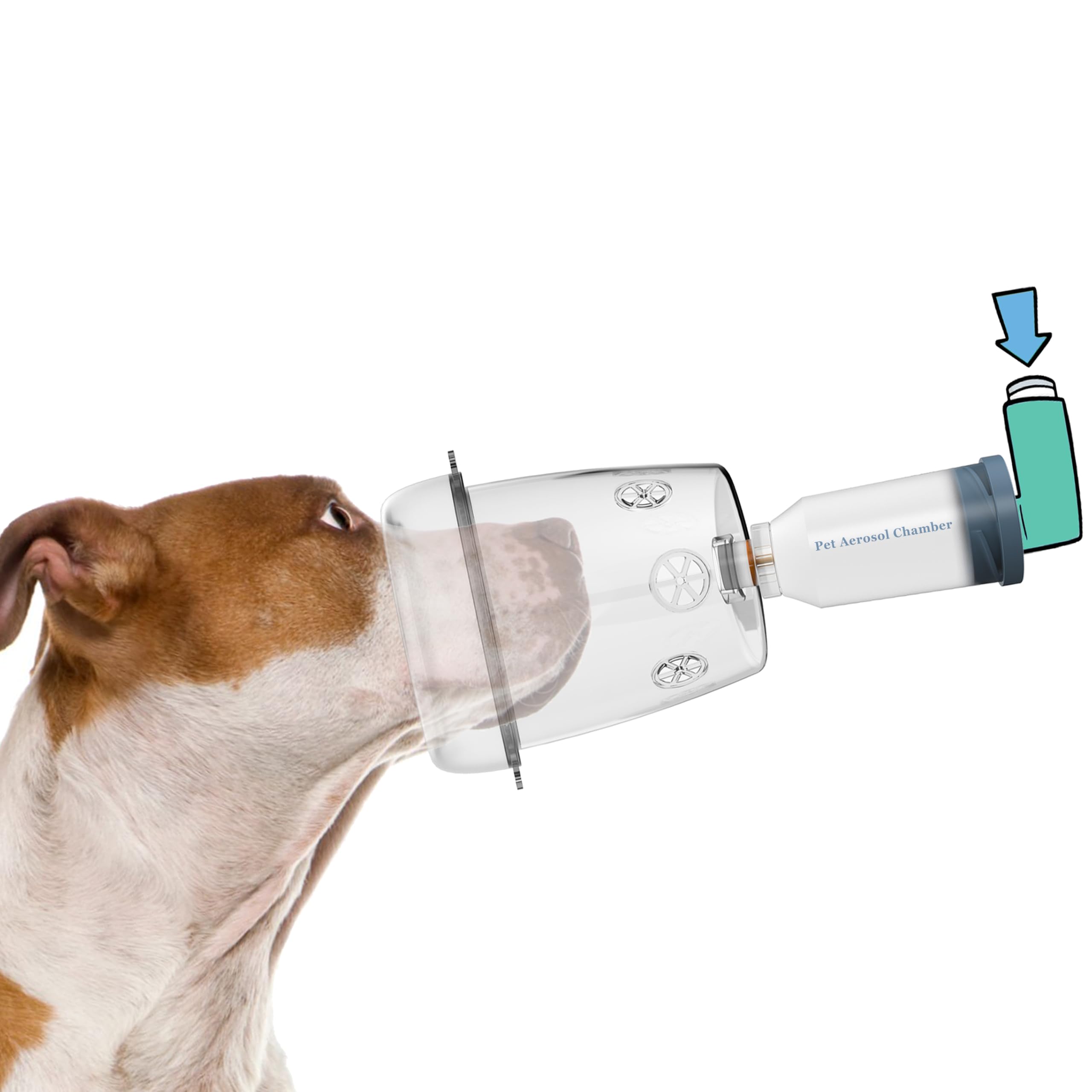 WhaleSing camara aerosol canino grande: entrega más precisa hacia los pulmones