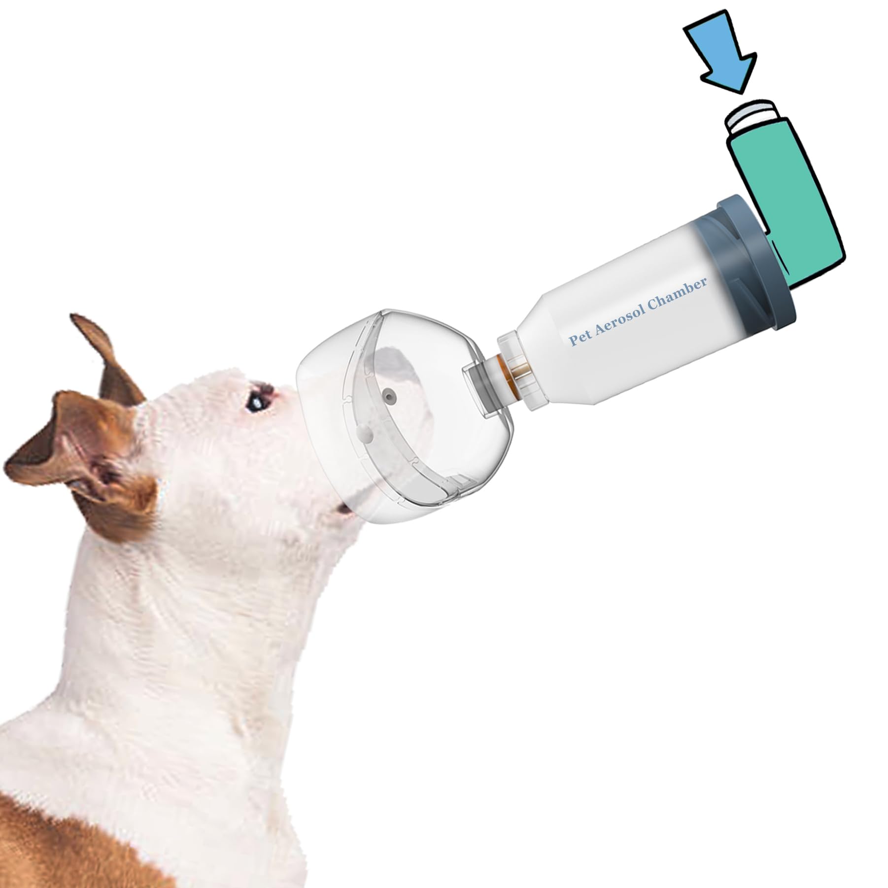 WhaleSing Cámara de inhalación para gato, entrega directa a los pulmones.
