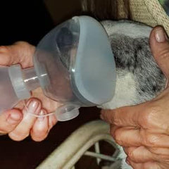 WhaleSing Espalda con diseño único para adaptar a inhaladores.