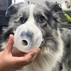 Mascarilla de silicona segura y cómoda para mascotas del kit WhaleSing.