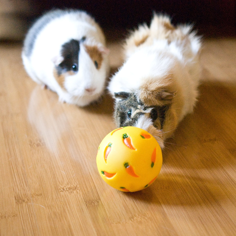 Wheeky bola de premio compacta, perfecta para roedores y mascotas pequeñas.