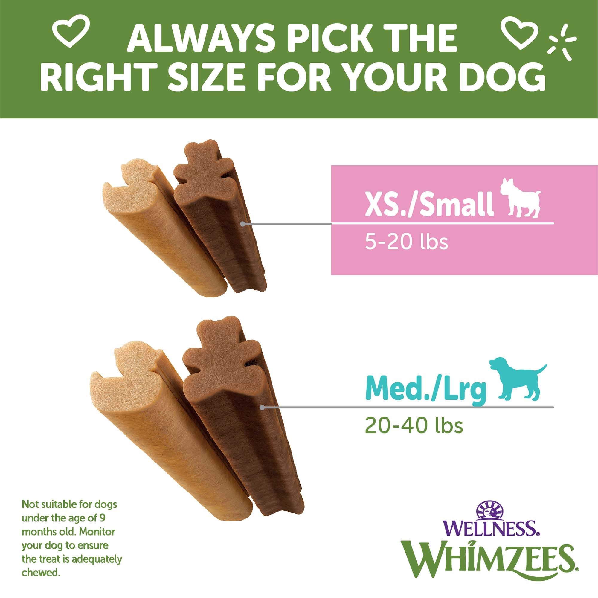 Whimzees Bienestar perro joven masticando – limpieza dental