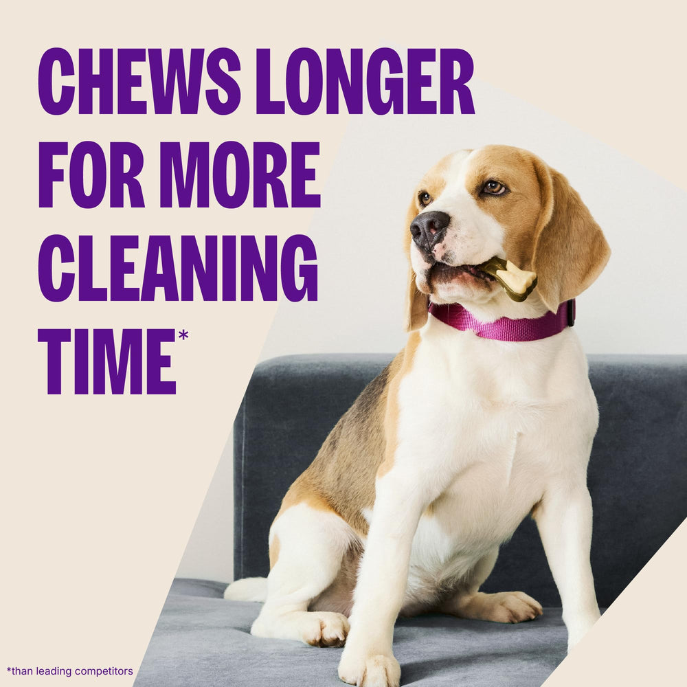 Encías saludables con Whimzees Wellness, textura que estimula encías mientras mastican