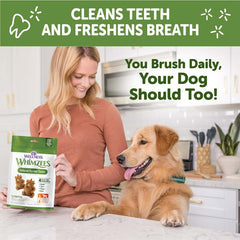 whimzees erizo dental para perro tamaño grande: 6 unidades para masticación.
